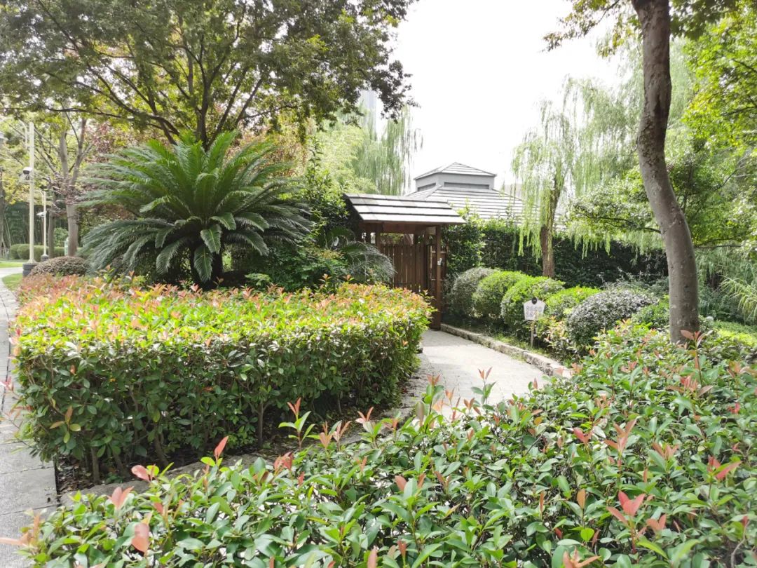 新虹桥中心花园上海市四星级公园