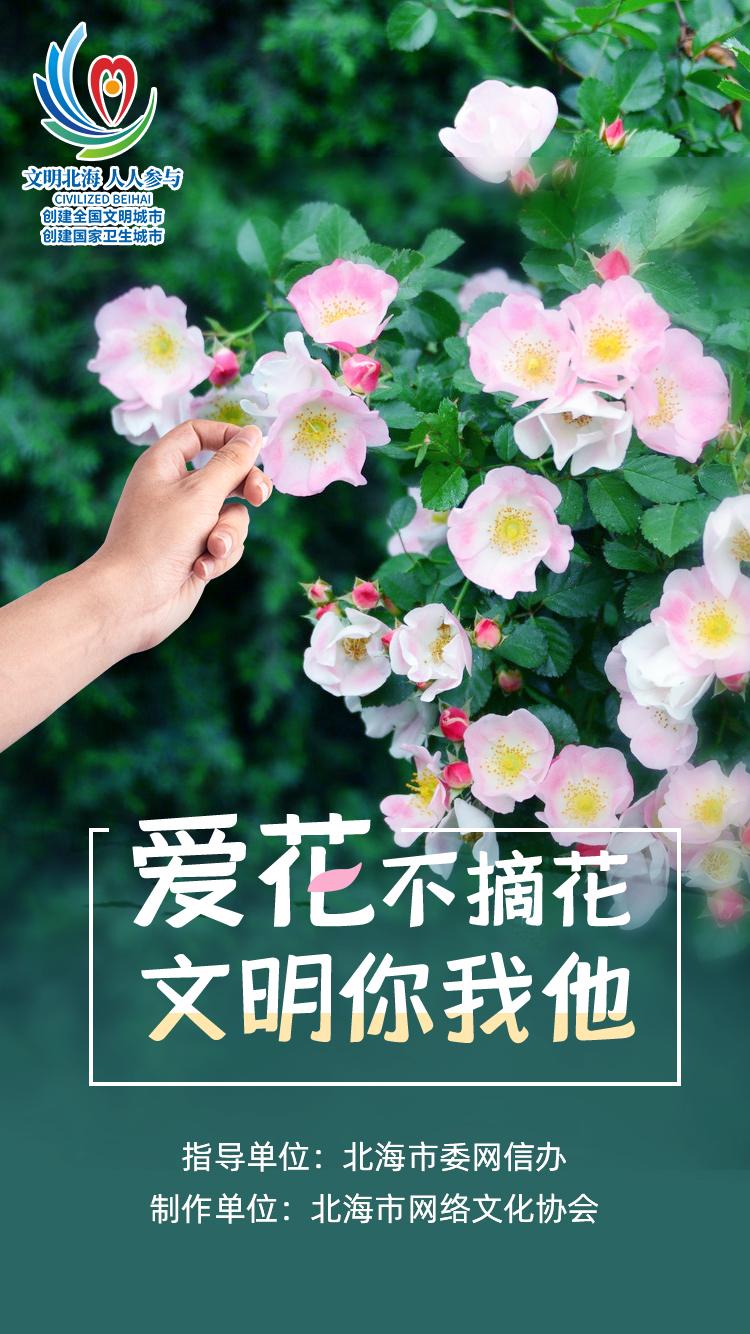 文明健康有你有我爱花不摘花文明你我他