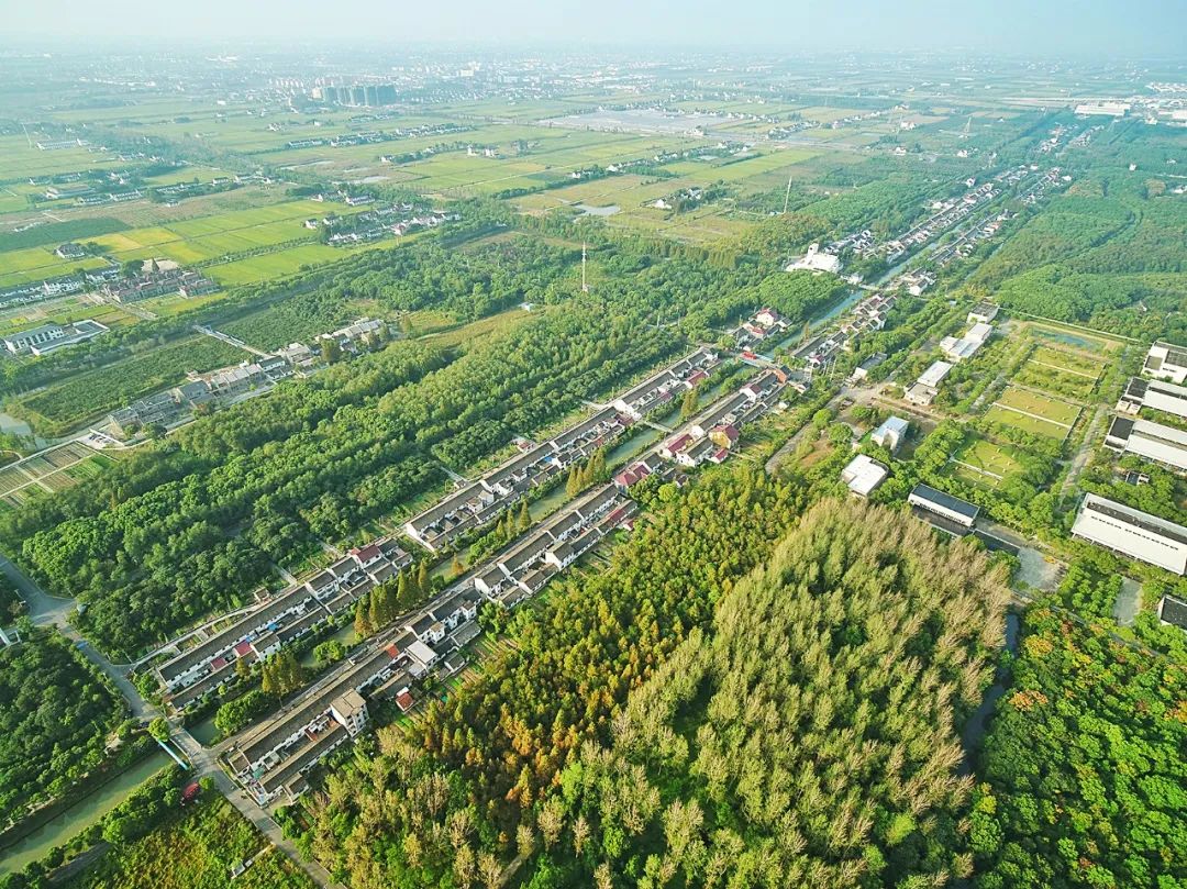 农艺公园乡村的诗和远方