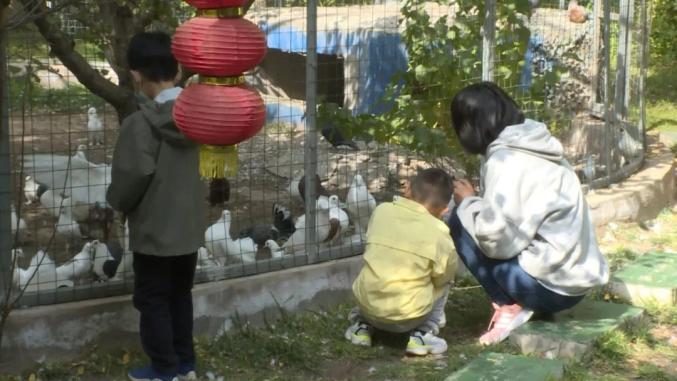 金昌紫金花城百鸟园发展旅游公司负责人 许正虎百鸟园包含了来自世界