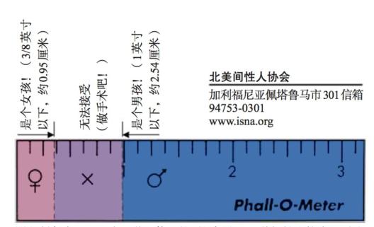 阴茎判断表