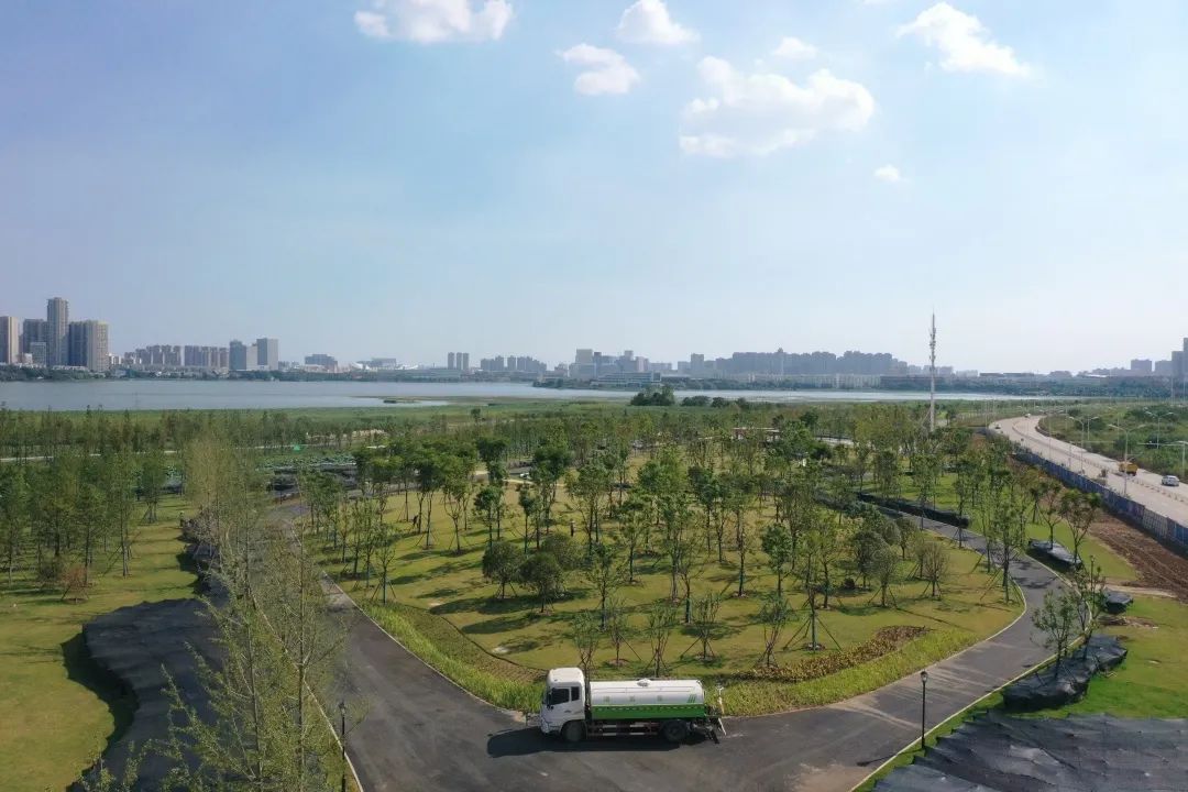 三角湖公园二期