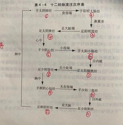 三阴三阳的强弱顺序图片