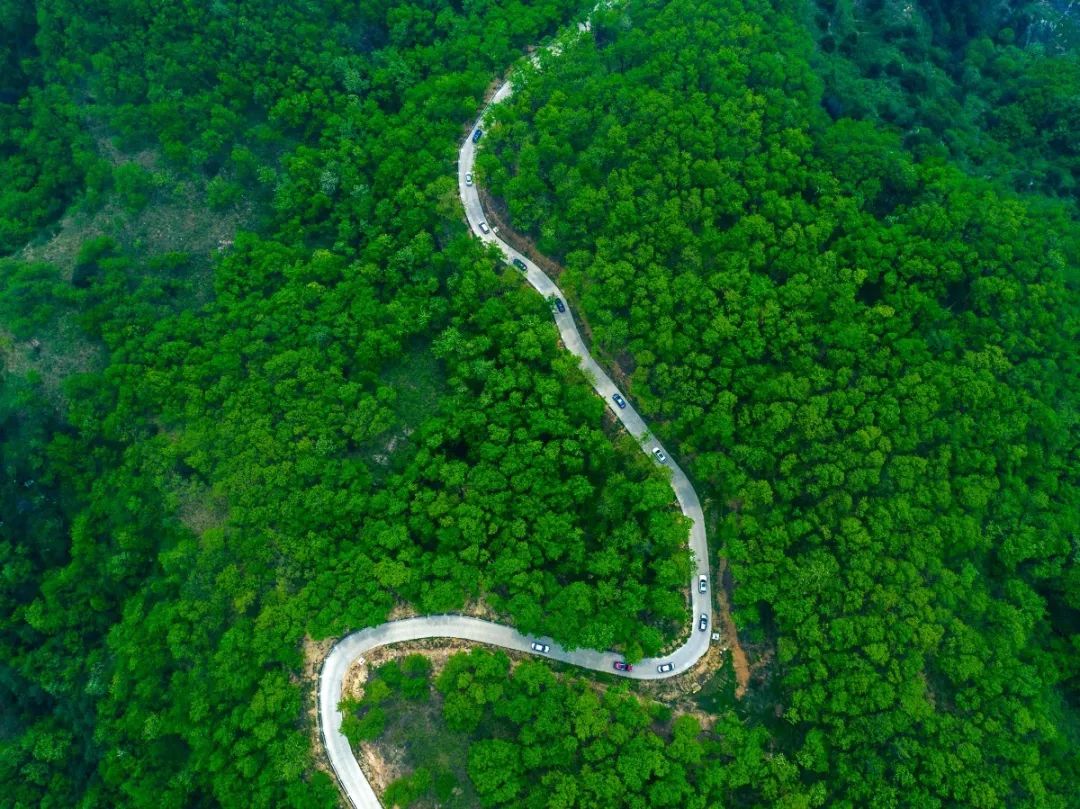 起起伏伏,行驶在这条公路上转闪,腾挪…尽情地享受香山的脉搏,满足"