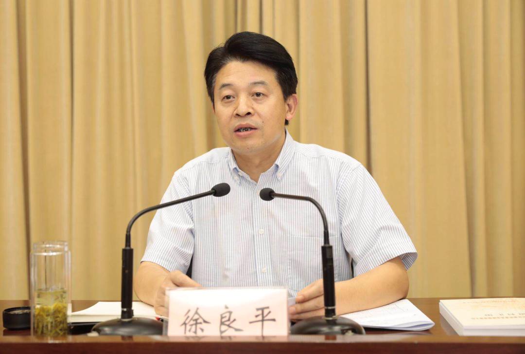 徐良平强调紧扣五好两确保总目标高质量完成村社组织换届