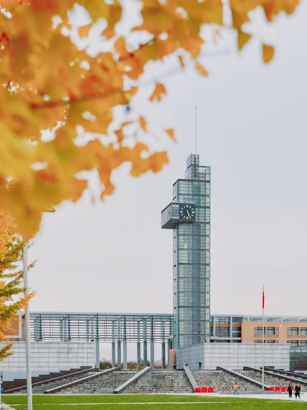 黄红蓝寒露下的秋色西电