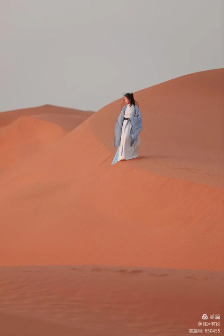 来九棵树沙漠秒变古风小仙女