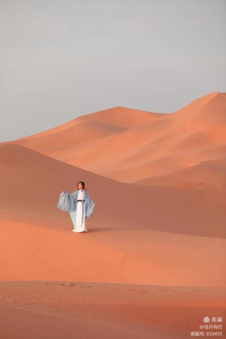 来九棵树沙漠秒变古风小仙女