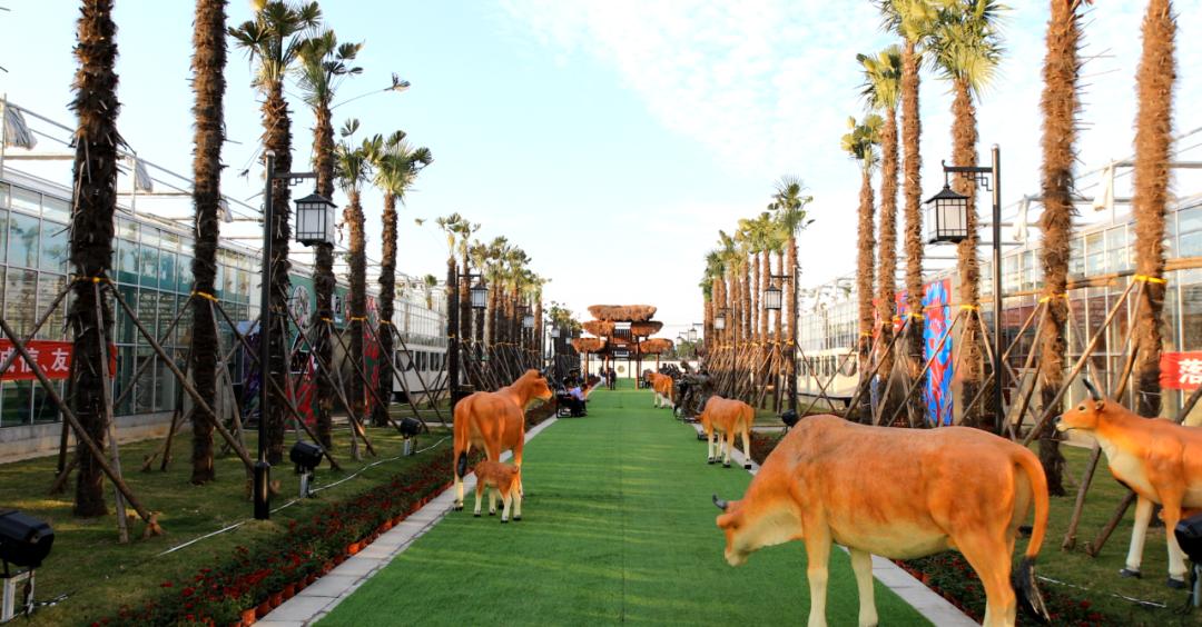 惊艳你们所向往的桃花源溧水这里就有