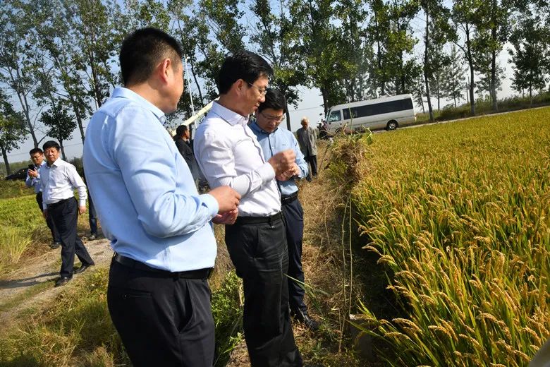吴昊书记到胡寨魏庙调研重点关注这些工作