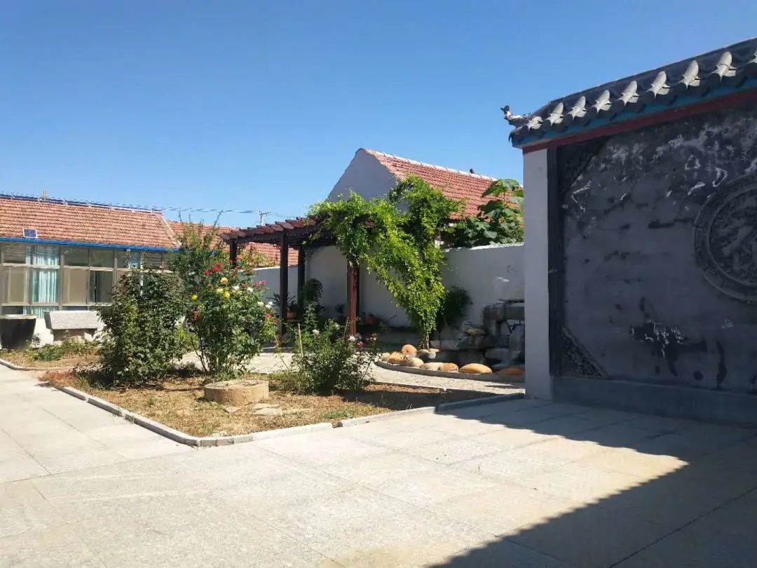 潍坊美丽庭院示范户擂台赛10月第1周周明星公布