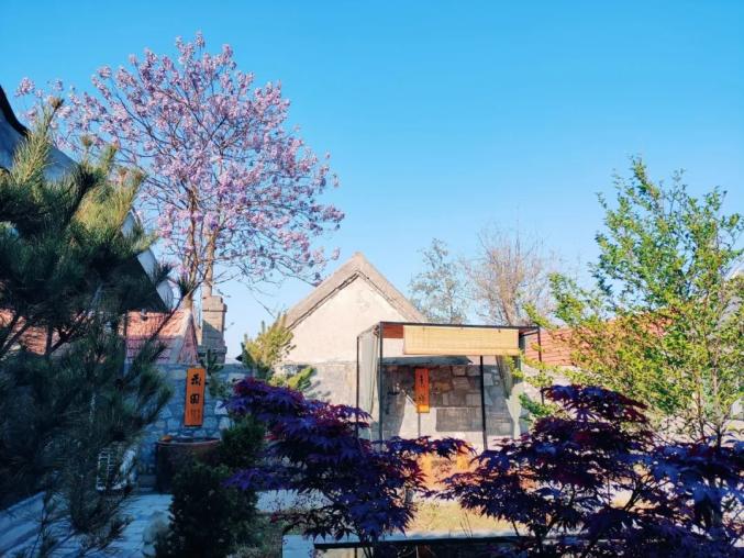 "老瓶新酒"分外醇