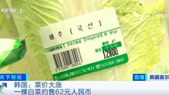 泡菜都腌不起了？韩国超3成泡菜工厂停工