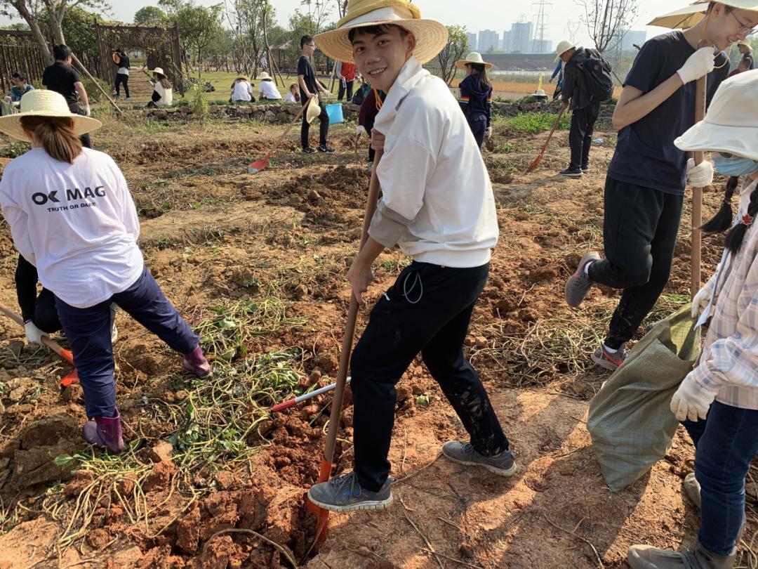 割稻,脱粒,挖苕……武大"农夫"干活儿忙
