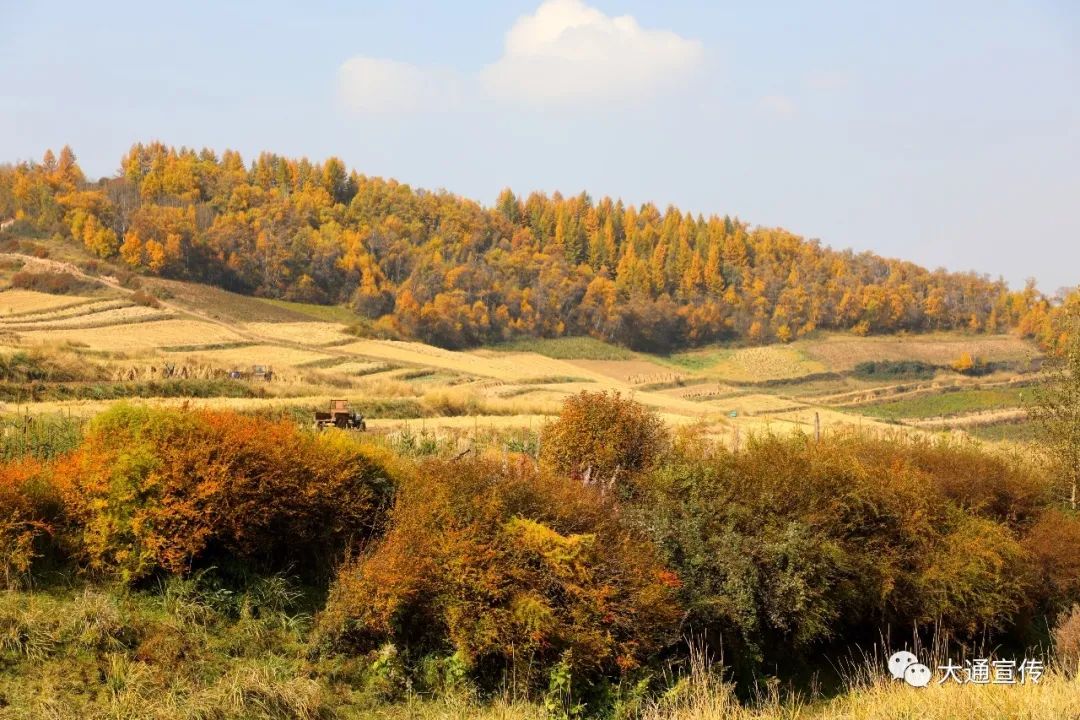 大通朔北乡道人沟秋景美如画