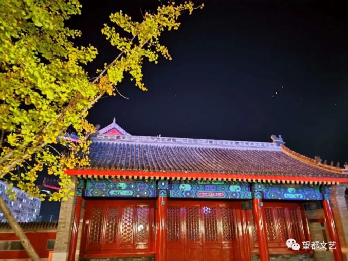 尧母庙银杏树守望岁月一抹金黄凄美了季节