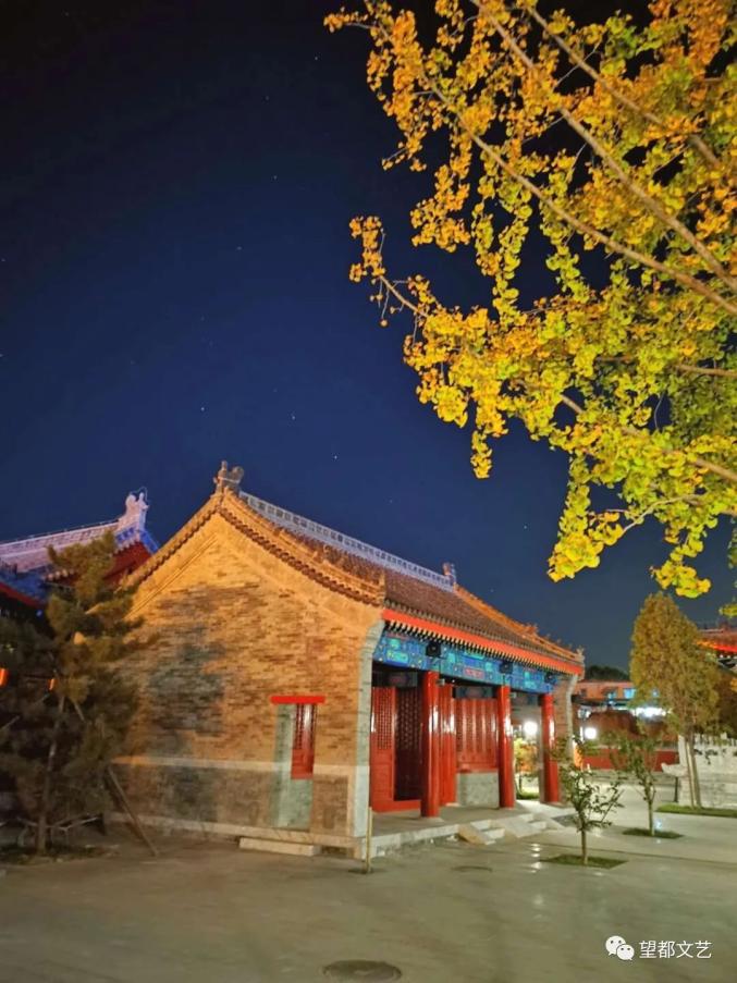 尧母庙银杏树守望岁月一抹金黄凄美了季节