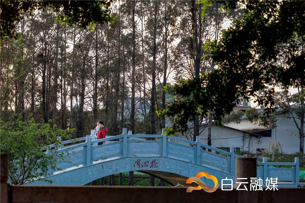 珠江水村前绕有一个村庄在广州市白云区石门街【鸦岗村】一挑战村庄