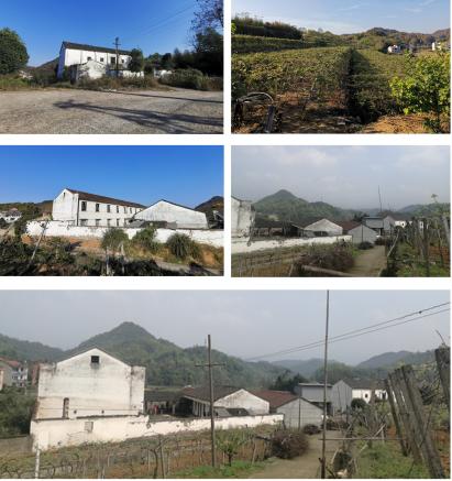 每年增收50万!诸暨璜山镇一招激活这片闲置农房