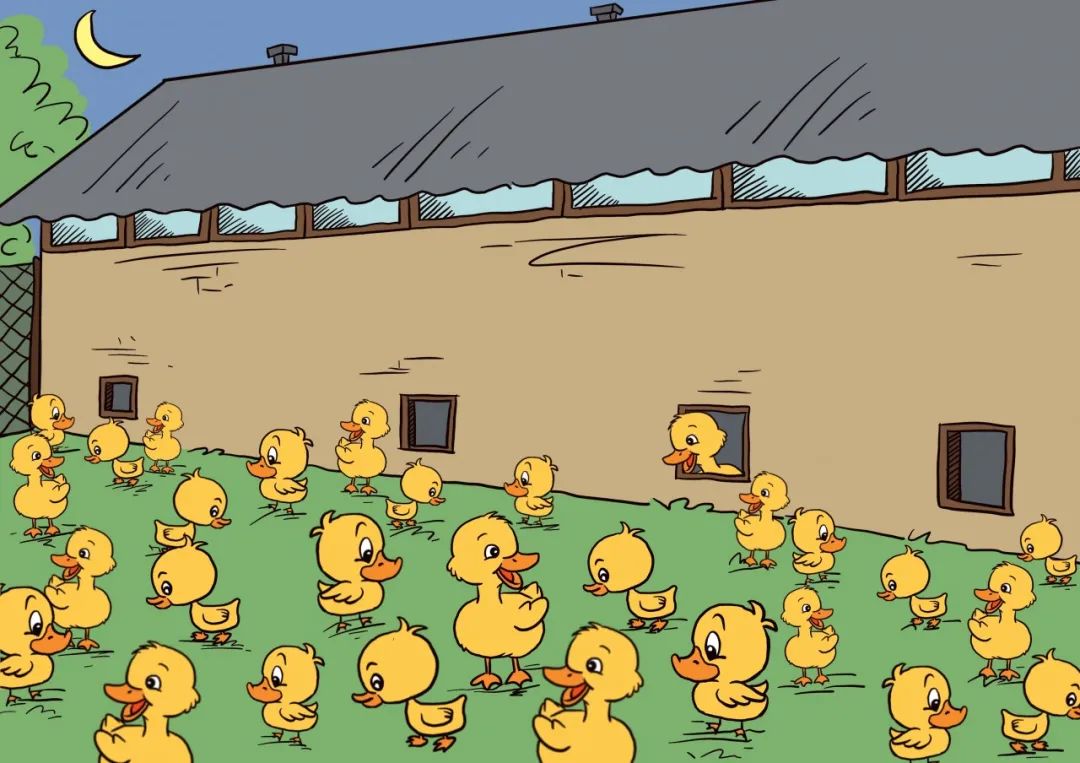 东家的狗咬死西家127只鸭前门大母猪吓死后门893只鸡鸡毛蒜皮里的正义