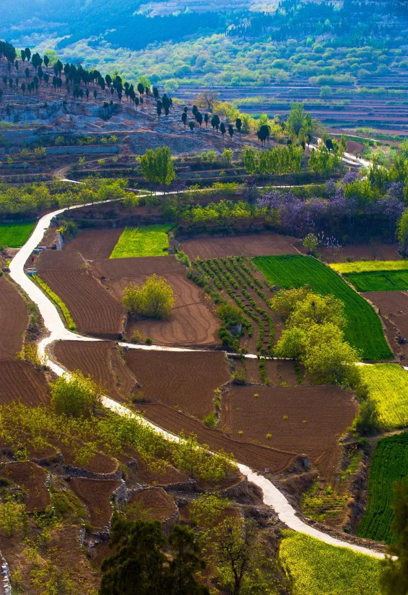 我家街巷最美系列展示济南市平阴县孔村镇李沟村