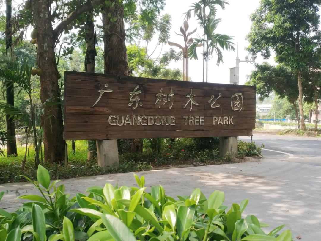 绿色有约环保公益我参与活动开始啦本周邀您走进广东树木公园