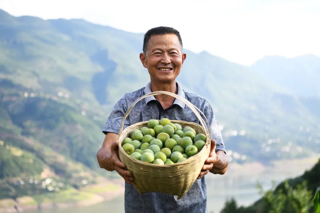 走向我们的小康生活70气象笔墨谱写巴渝新篇