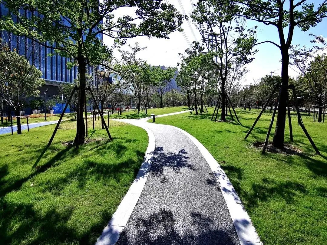 【探索】绿地面积4万平方米!宝山这一新去处等你来打卡