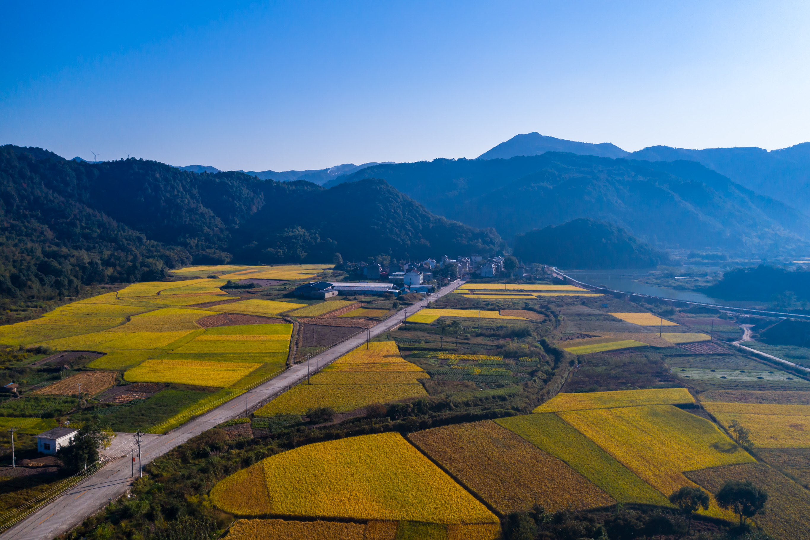 金秋宁海桑洲梯田美如画