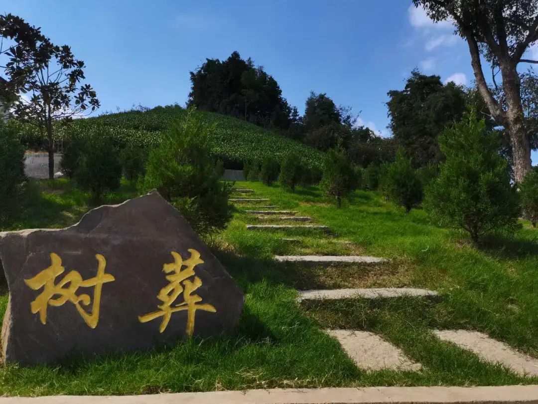 守护绿水青山安吉县大力推行节地生态葬