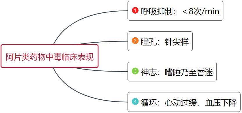 主任提问 阿片类药物中毒有何典型表现 纳洛酮如何解救 湃客 澎湃新闻 The Paper