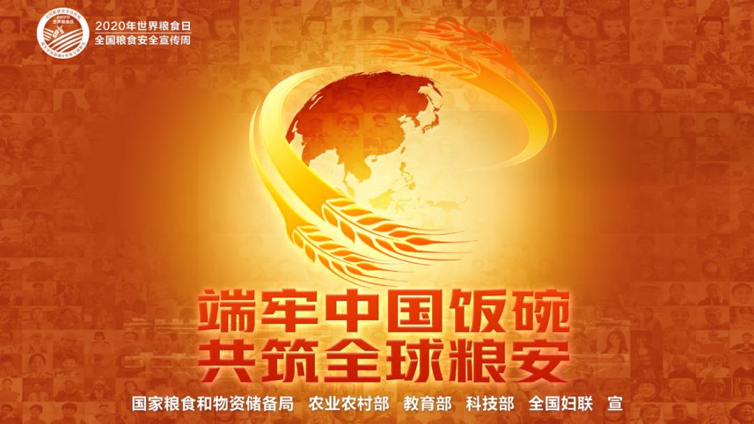 粮食安全宣传周爱粮有我行动起来共建节约中国