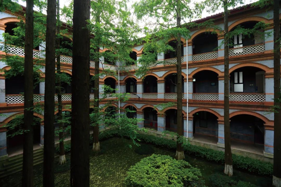 秋天第一美万航渡路1575号