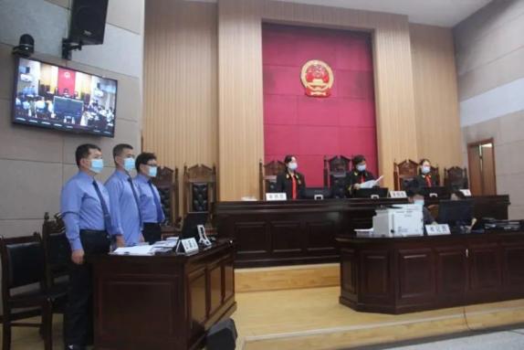 扫黑除恶李张红等14人涉黑案一审公开宣判