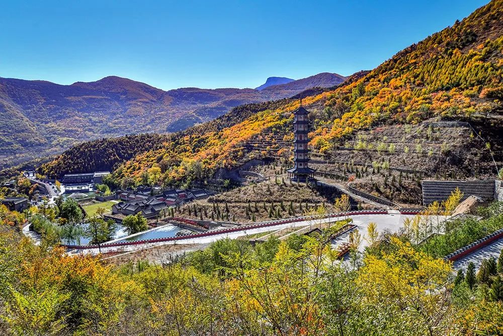 "我眼中的大美房山"随手拍作品展(十)
