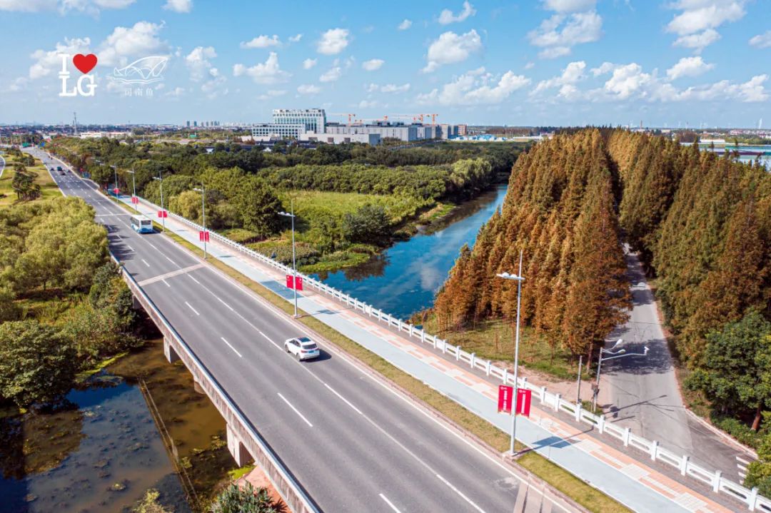 又到了变色的季节360全方位感受最美公路的秋意