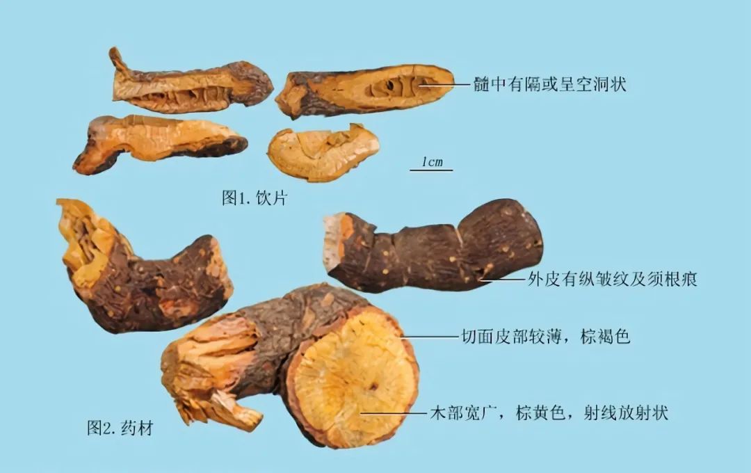 清风典历 | 出师一表真名世