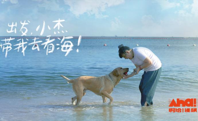 出发！导盲犬带我去看海！