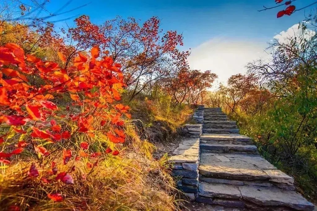 歷史悠久的文物古蹟優美的自然風光為充分展示幽嵐山風景區活動現場還