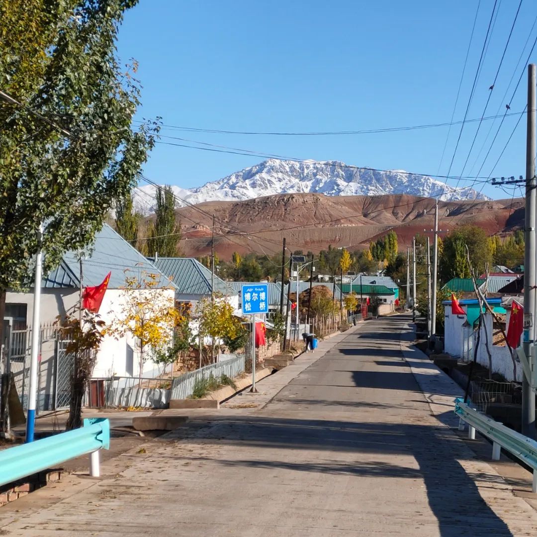 脱贫攻坚山窝窝里卧着金蛋蛋