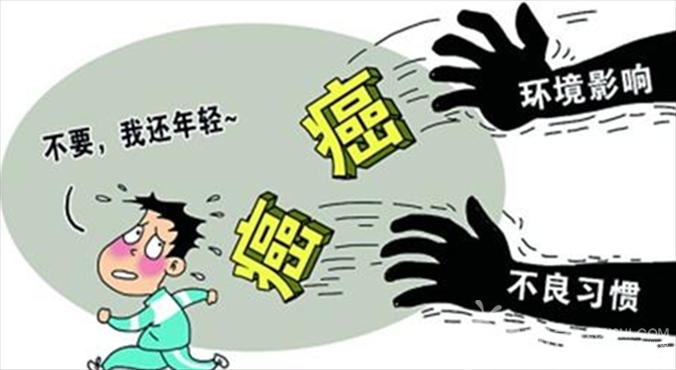 先天性免疫和获得性免疫的桥梁 Nkt细胞 科技 澎湃新闻 The Paper