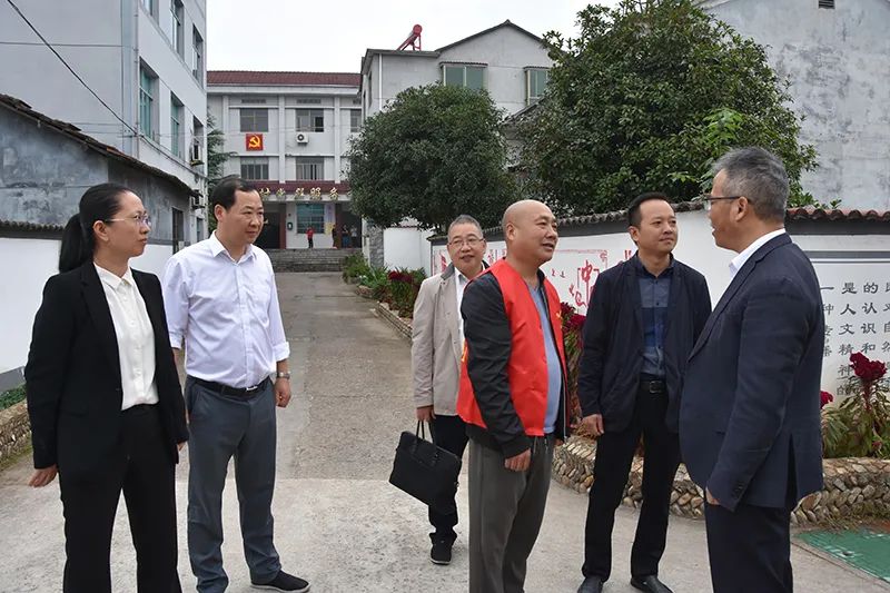 县领导陈迎春,王昱,吕霞,傅显平分别陪同调研或参加座谈会.