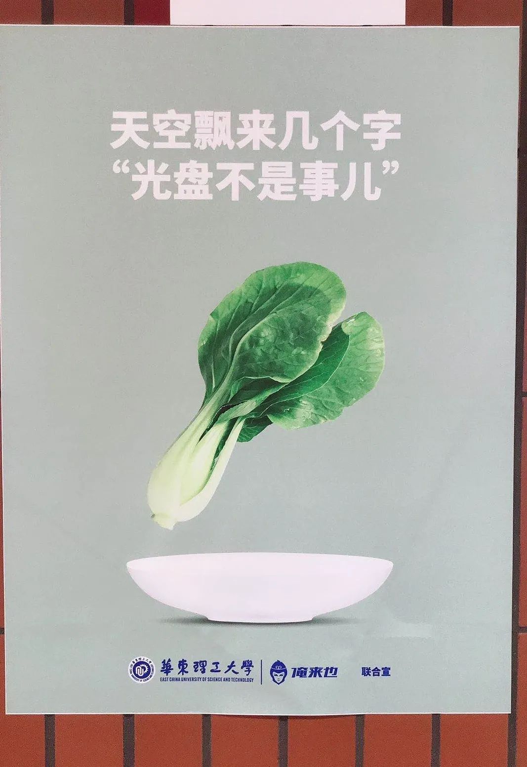 光盘侠出世必剩客退场华理徐汇校区兴起新食尚