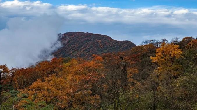 峨眉山紅葉與雪山相伴 峨眉山景區供圖馬邊大風頂彩林壯闊似秋日煙火