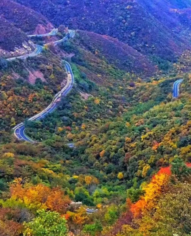 美爆!延庆秋色颜值逆天