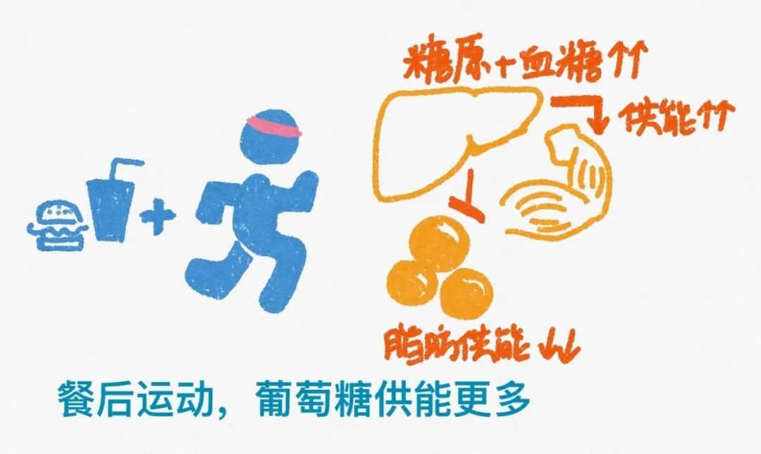 空腹运动 减脂更快 湃客 澎湃新闻 The Paper