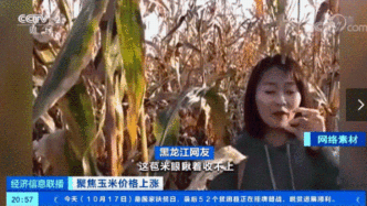 玉米价格每吨涨千元！专家：灾情并非主因...