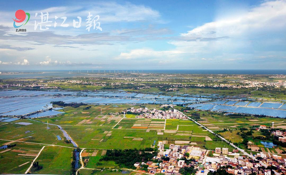 湛江市南三岛环岛公路图片