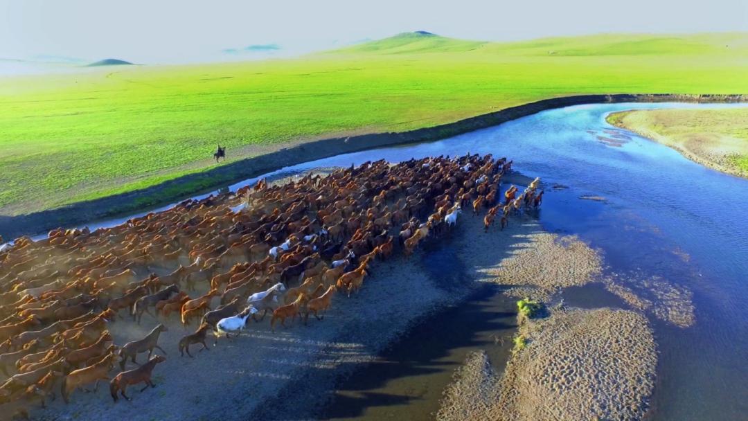 中国影像方志丰宁千里牧场万亩麦浪绘就满乡风情画卷