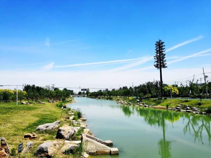 连续五天央媒关注阜阳临泉